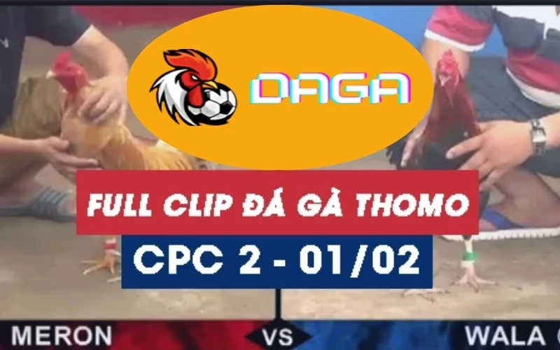 da-ga-thomo-01-02