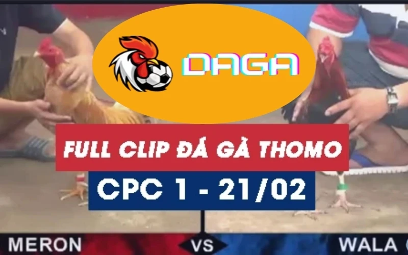 da-ga-thomo-21-02